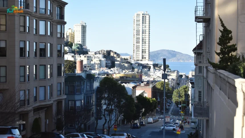 Best Accountant in Nob Hill