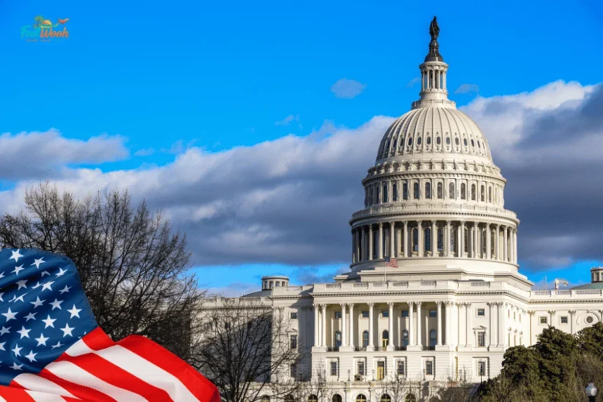 Usa Insider Guide to Insurance Agent