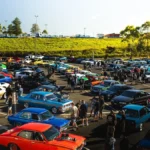 Auto Insurance Agency in Sydney -- Enthusiast Motor Insurance