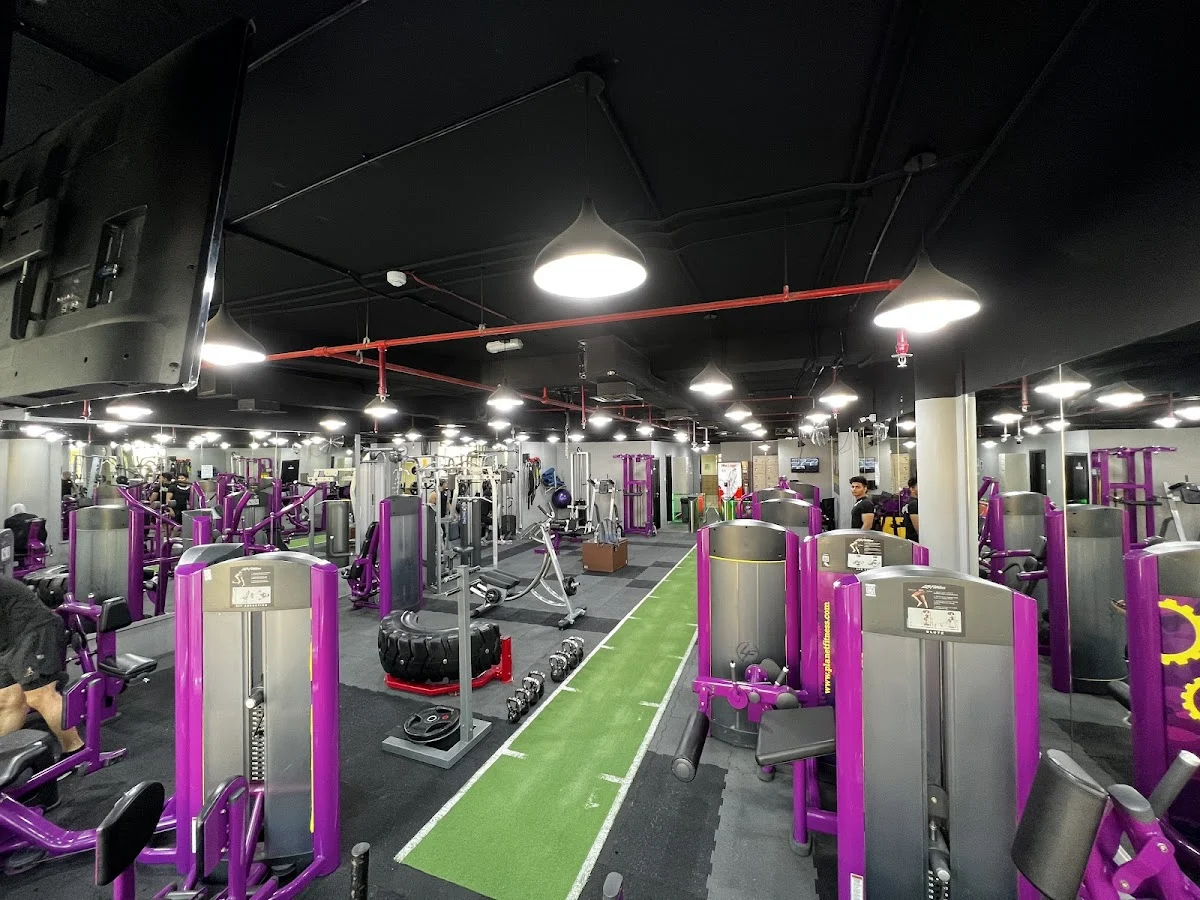 Gym in Dubai -- Grand Gold Gym Best Gym In Barsha