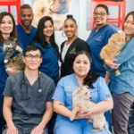 Veterinarian in New York -- Seaport Animal Hospital