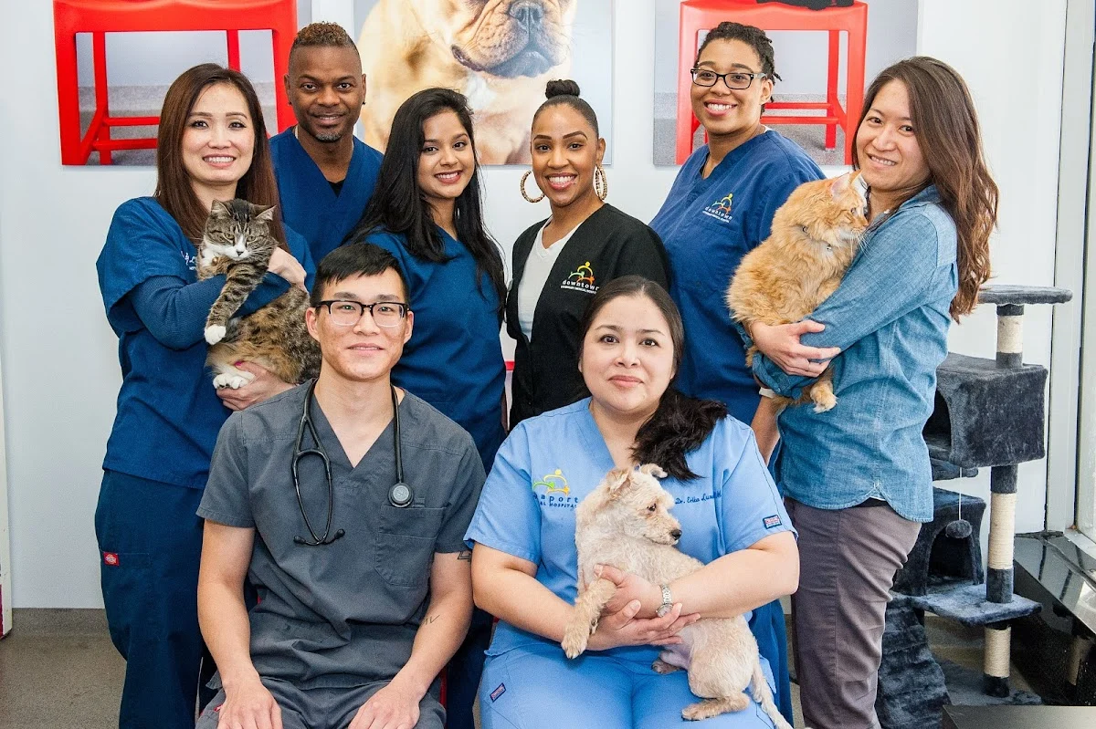 Veterinarian in New York -- Seaport Animal Hospital