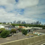 Animal Hospital in Melbourne -- The Lost Dogs' Home Vet Hospital