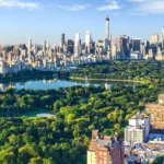 Psychologist in New York -- Wellness Road Psychology