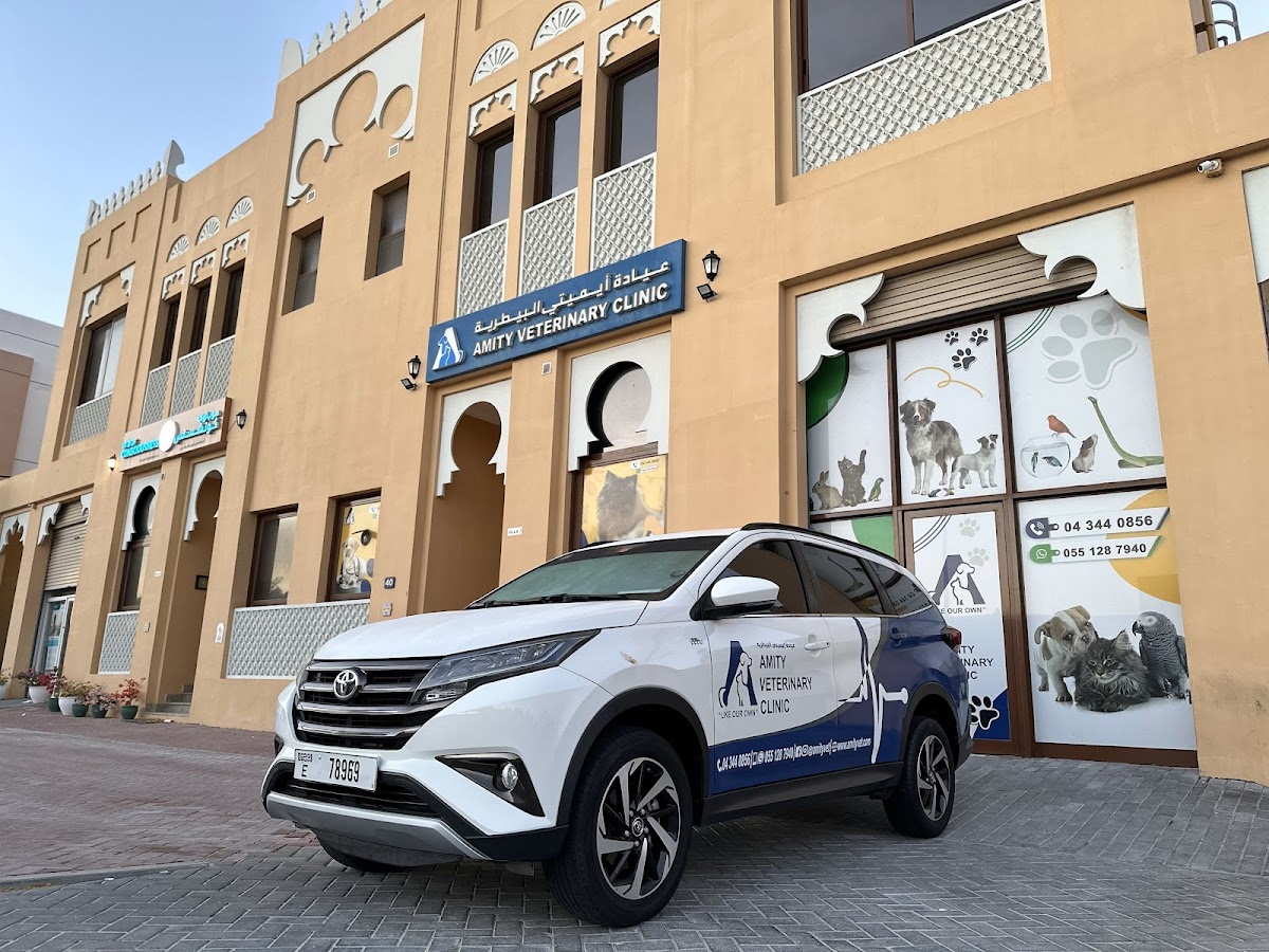 Veterinarian in Dubai -- Amity Veterinary Clinic