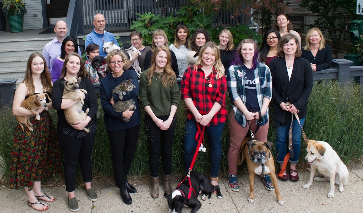 Veterinarian in Chicago -- Animal Medical Center of Chicago