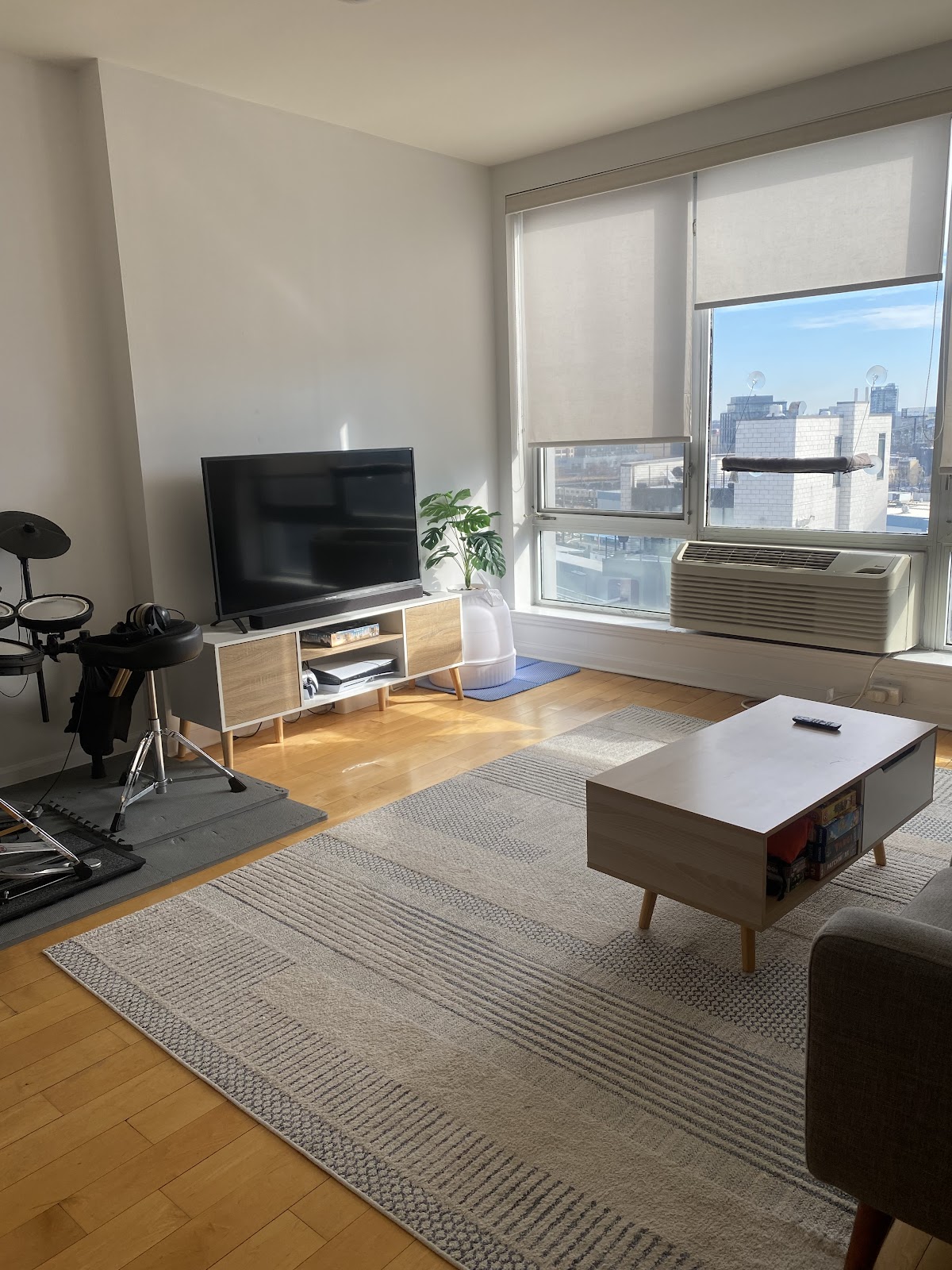 House Cleaning Service in New York -- Cleanzilla Cleaning Nyc