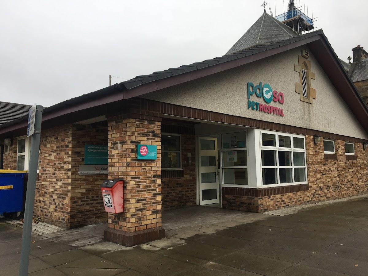 Veterinarian in Edinburgh -- Edinburgh PDSA Pet Hospital