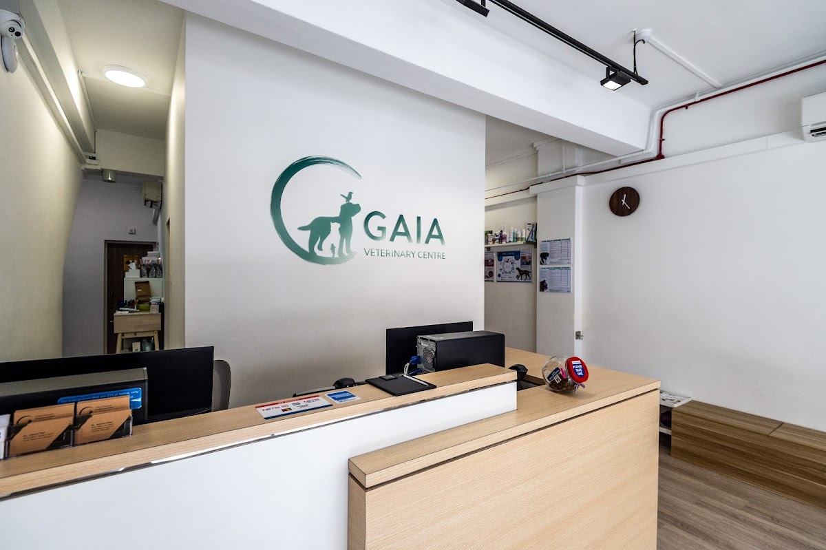 Animal Hospital in Singapore -- Gaia Vets Singapore (Jalan Besar) (2)