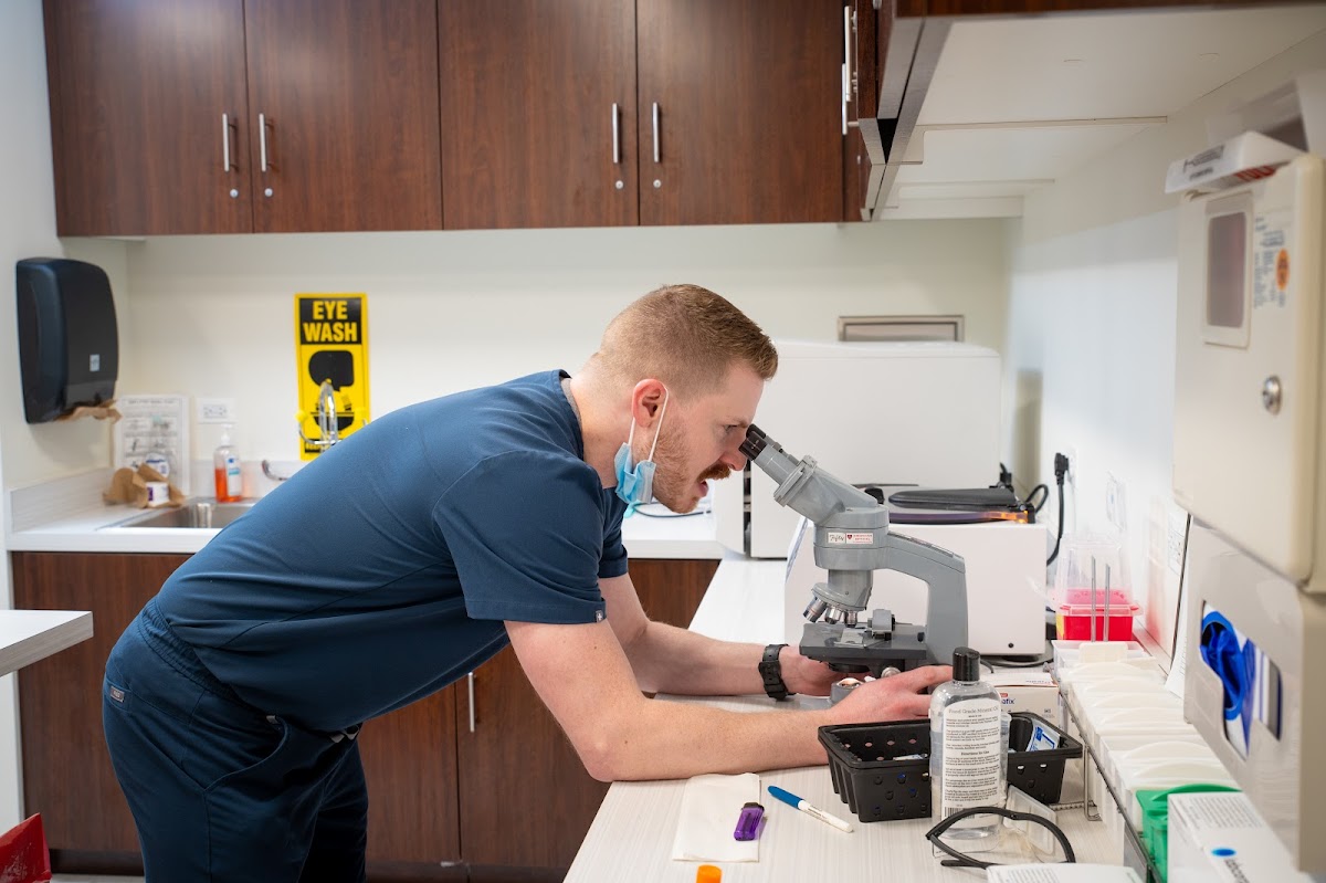 Dermatologist in Chicago -- Illinois Dermatology Institute - Chicago Loop Office