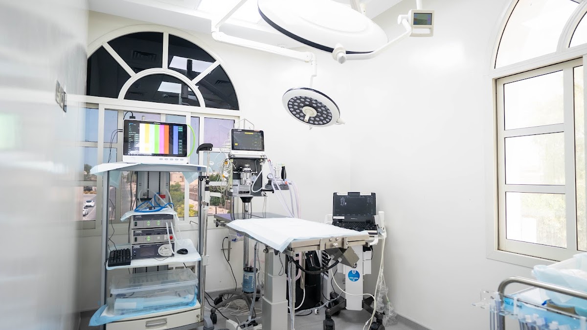 Veterinarian in Dubai -- Modern Vet Hospital