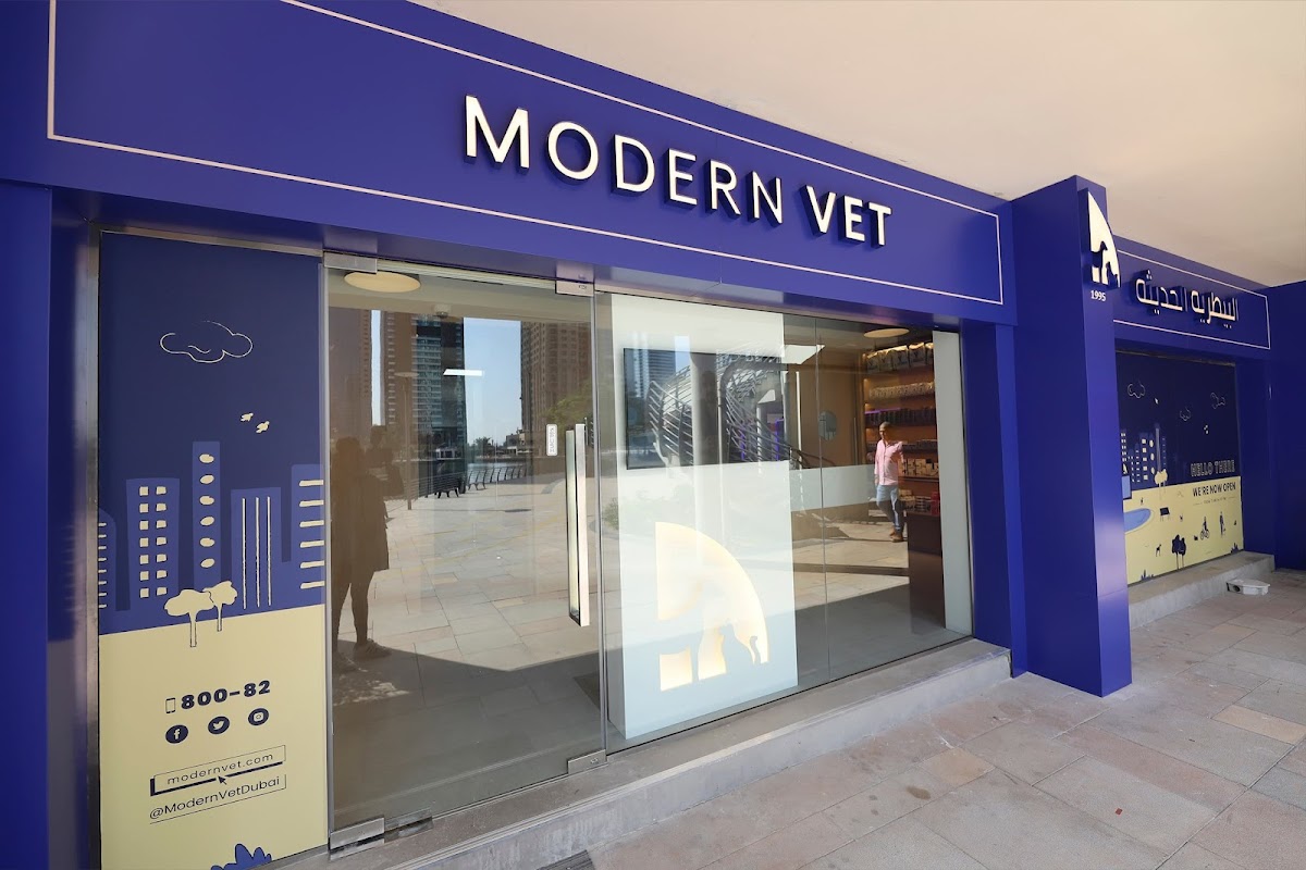 Veterinarian in Dubai -- Modern Vet JLT