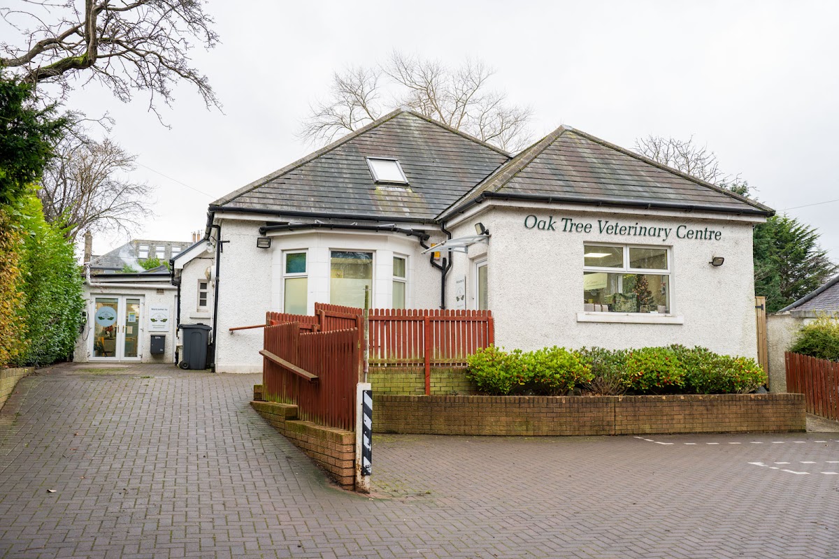 Veterinarian in Edinburgh -- Oak Tree Vet Centre