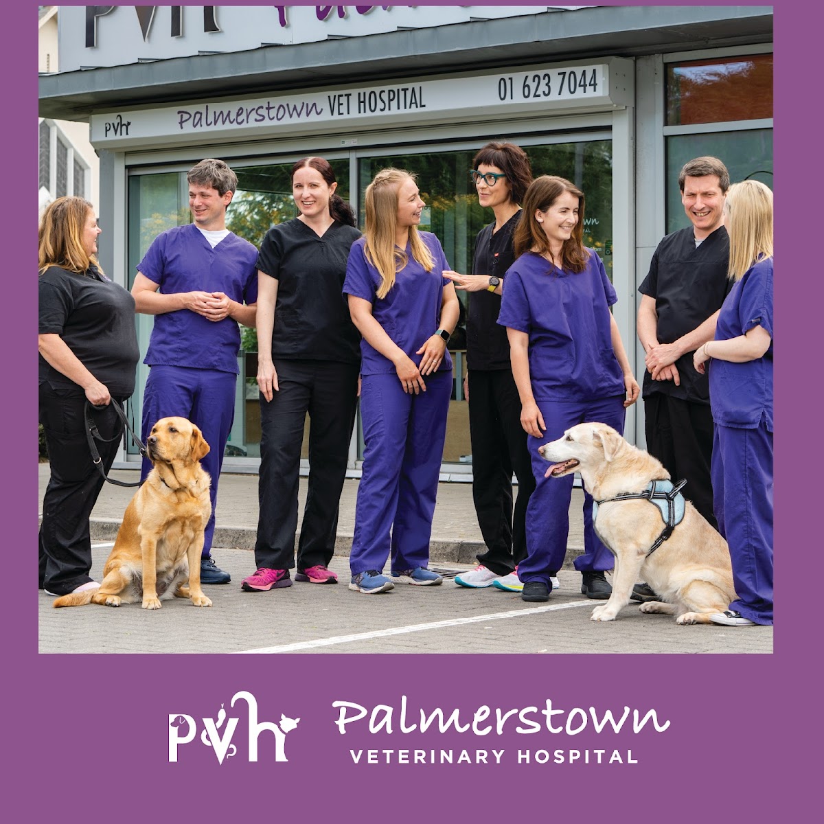 Veterinarian in Dublin -- Palmerstown Veterinary Hospital (2)