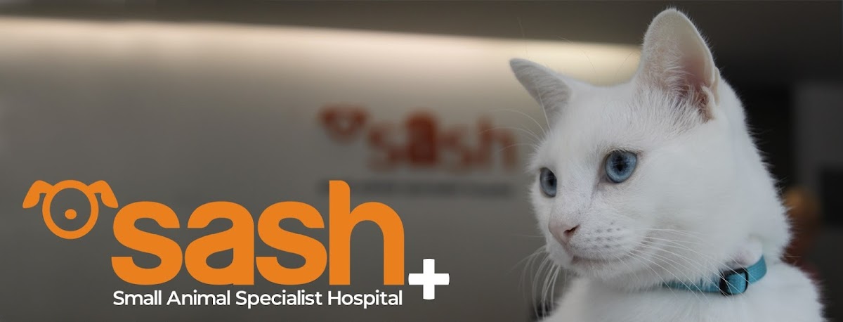 Animal Hospital in Sydney -- SASH - Specialist & 24/7 Emergency Vets - North Ryde