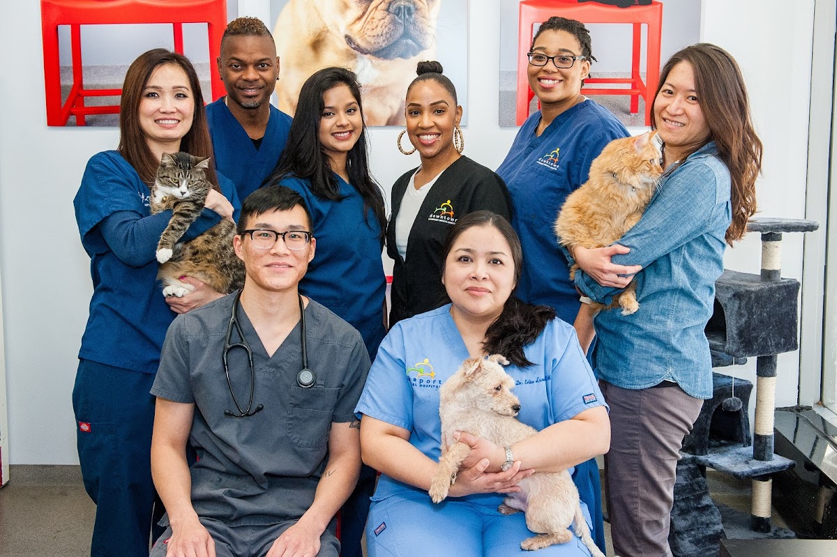 Veterinarian in New York -- Seaport Animal Hospital