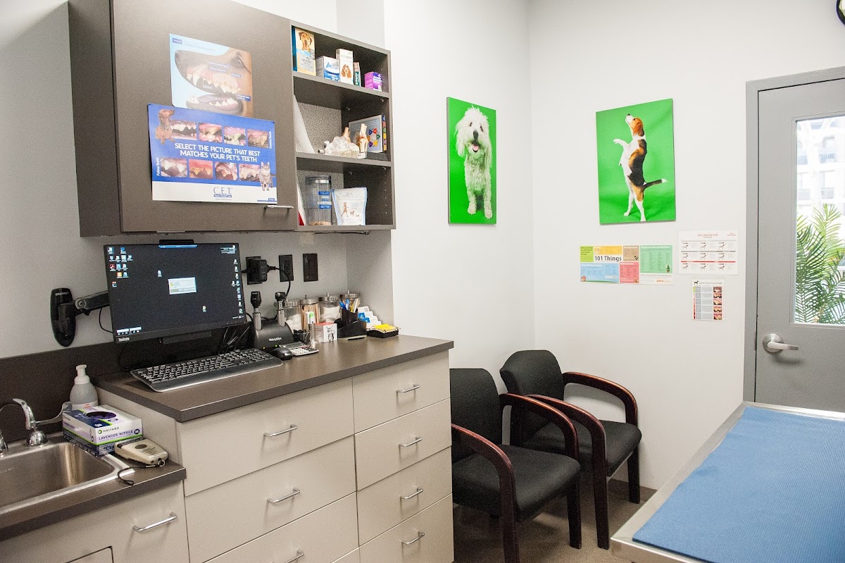Veterinarian in New York -- Seaport Animal Hospital (2)