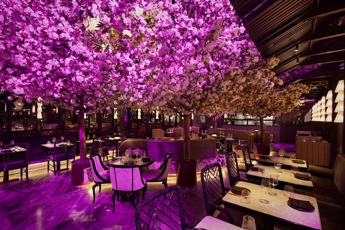 Restaurant in London -- Tattu London