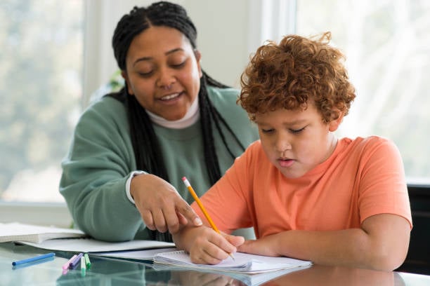 Tutoring Service in Auckland -- Top Tier Tuition
