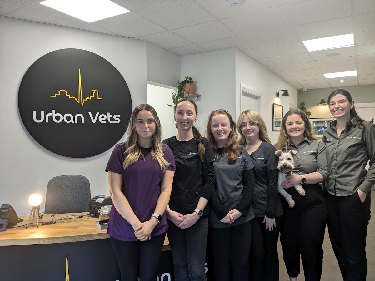 Veterinarian in Dublin -- Urban Vets
