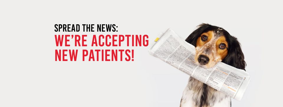 Veterinarian in Toronto -- Wellesley Animal Hospital