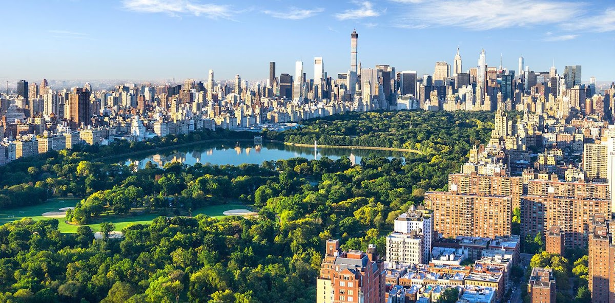 Psychologist in New York -- Wellness Road Psychology