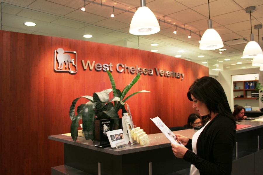 Veterinarian in New York -- West Chelsea Veterinary