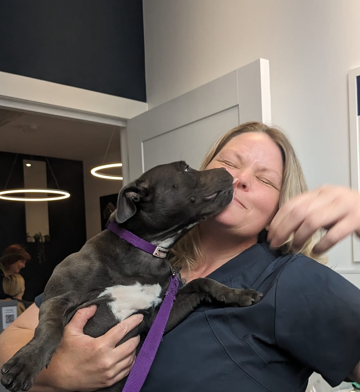 Veterinarian in Edinburgh -- West Edinburgh Vets