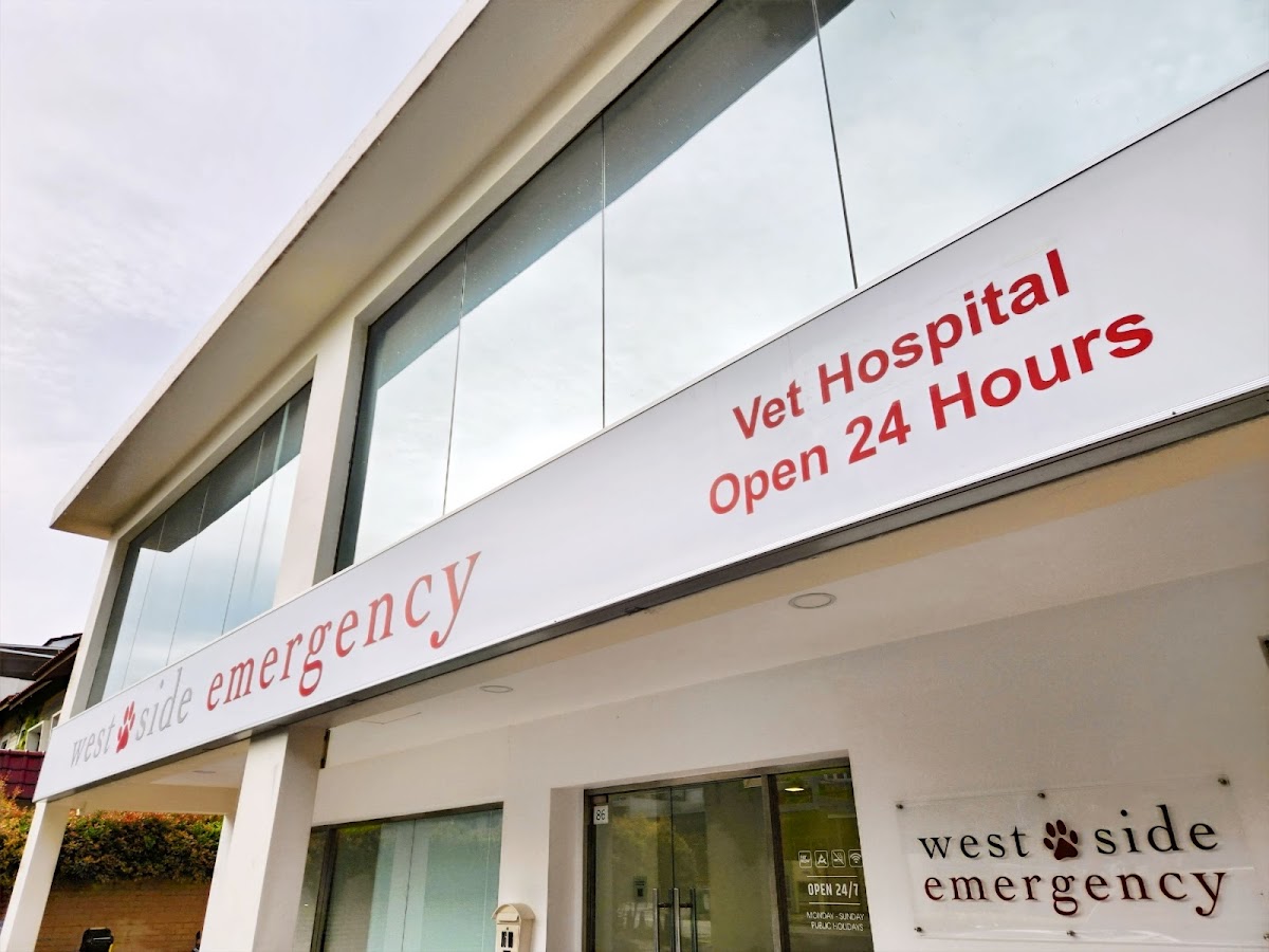 Animal Hospital in Singapore -- Westside Vet Emergency & Referral Hospital