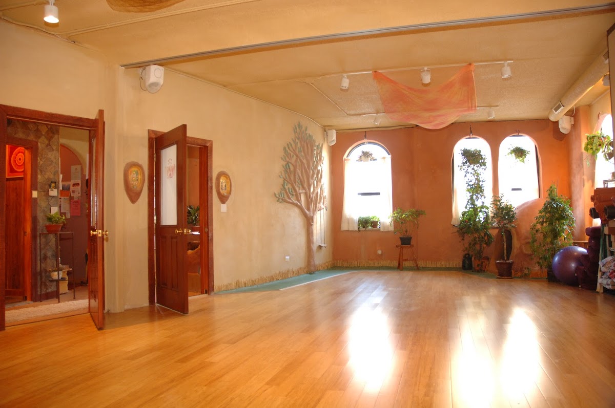 Yoga Studio in Chicago -- Yoga Now
