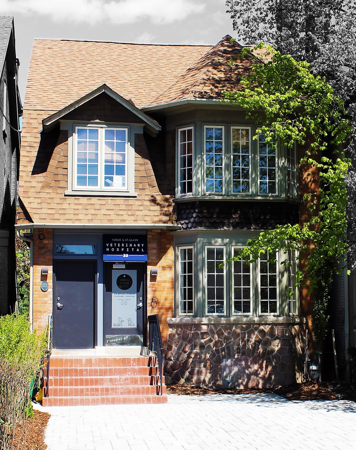 Veterinarian in Toronto -- Yonge & St. Clair Veterinary Hospital